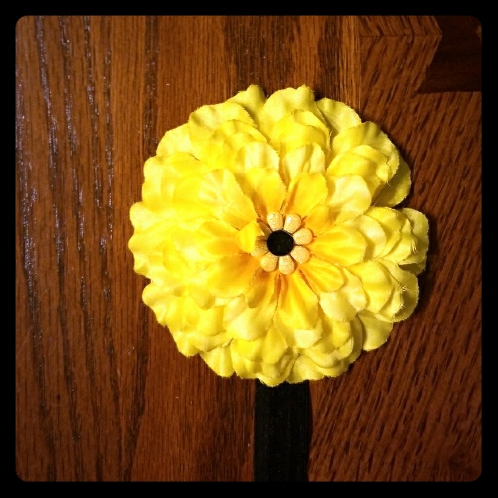 Headband free w bundle!